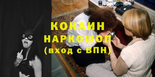 прущие грибы Бородино
