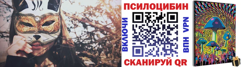 Галлюциногенные грибы Psilocybe  купить  сайты  блэк спрут ссылка  Кашин 