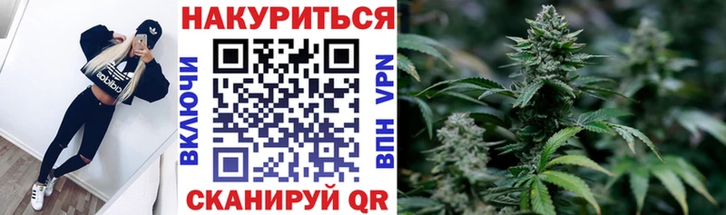 Бошки Шишки семена  продажа наркотиков  Кашин 