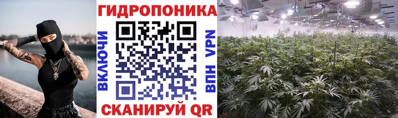 Шишки марихуана индика Кашин